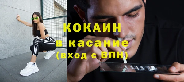 крисы Бородино