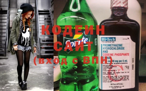крисы Бородино