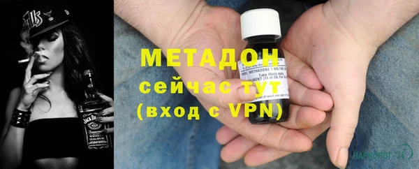 крисы Бородино