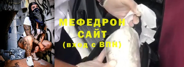 крисы Бородино
