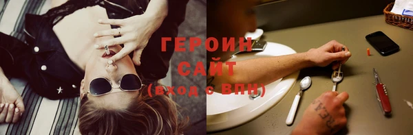 крисы Бородино