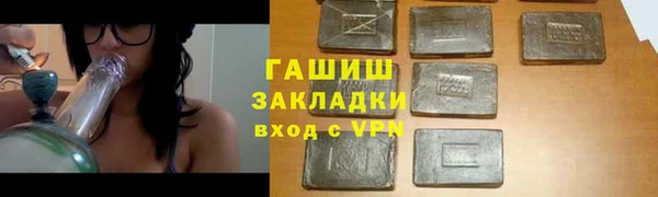 крисы Бородино